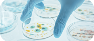 Main gantée tenant un récipient contenant des bactéries.